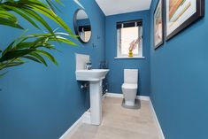 a bathroom with blue walls, white fixtures and a plant next to the toilet bowl