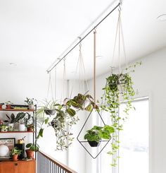 some plants are hanging from the ceiling in a room with white walls and wooden railings