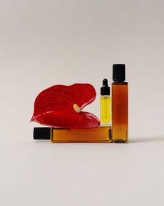 an assortment of perfumes and bottles on a white surface with a red flower in the middle