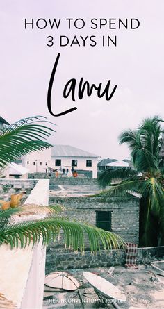 the words how to spend 3 days in lamu on top of a photo with palm trees