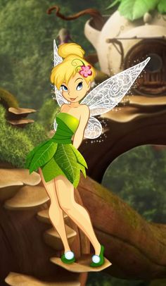 the tinkerbell fairy is standing on a rock