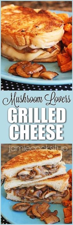 mushroom power grilled cheese sandwich on a blue plate