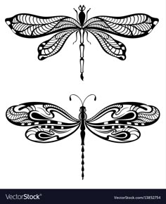 two black and white images of dragonflys with intricate designs on their wings, one is