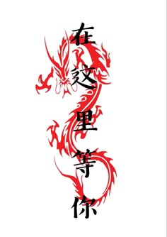 the chinese word dragon is written in two different languages