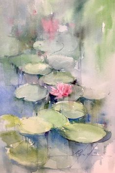 water lilies and pink flowers are floating in the pond