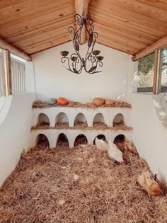 several chickens are laying in hay under a chandelier