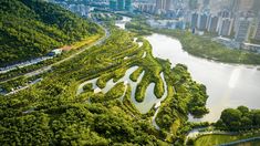 an aerial view of a lake surrounded by lush green trees in the middle of a city