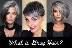 Discover Exciting Gray Hair Dye Trends and Vibrant Color Options Kiss Tintation Hair Color