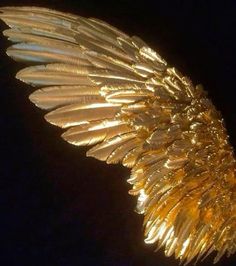 a gold feather brooch is shown against a black background with light shining on it