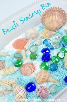 a plastic container filled with sea glass and seashells on top of blue sand