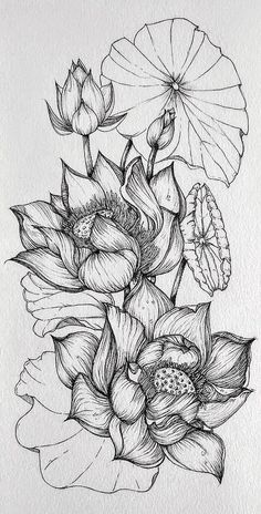 a black and white drawing of flowers