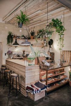 an open kitchen with plants hanging from the ceiling