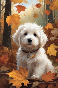 a painting of a white dog sitting in the woods with autumn leaves around him and looking at the camera