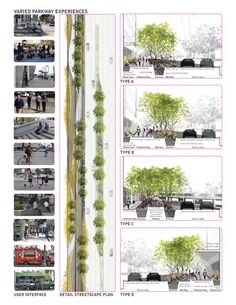 an architectural drawing shows the various stages of trees growing in different areas, and how they are