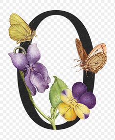 the letter o with flowers and butterflies on it