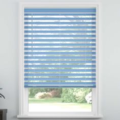 a window with blue blinds on it and a potted plant in the foreground