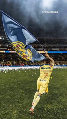 a man holding a flag on top of a soccer field