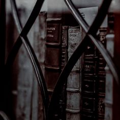 an iron gate with books behind it