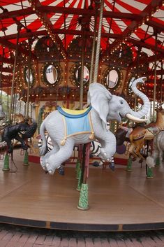 an elephant and zebra ride on a merry go round at a carnival or amusement park