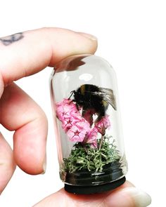 a hand holding a tiny glass bell jar with flowers in it and a bird inside