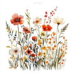 watercolor painting of flowers on white background