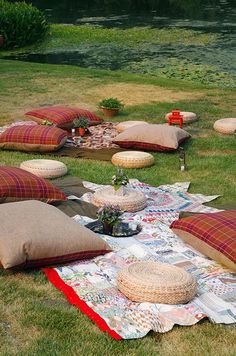 pillows and blankets are laid out on the grass in front of a pond with flowers