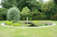 a pond in the middle of a lush green park