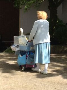 an older woman pushing a cart with bags on it and a swan in the back