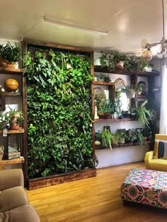 a living room filled with lots of plants on shelves next to a wall covered in greenery