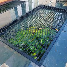 a large metal grate sitting on top of a puddle filled with green leaves and water