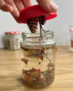 Make an autumn leaf snow globe - Mud & Bloom Fall Snow Globes Diy, Autumn Activity Ideas, Autumn School Project, Autumn Nature Crafts, Autumn Activities 2-3, Maple Seed Crafts, Autumn Science Experiments For Kids, Forest Science Activities, Preschool Pinecone Crafts