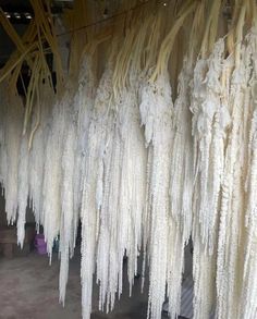 some white flowers hanging from the ceiling