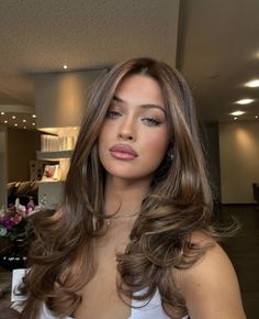 Hair Inspo Caramel Highlights, Honey Blonde Hair For Brunettes, Long Face Framing Layers Blowout, Hair Inspo Brunette Balayage, Face Frame Highlights Brown Hair, Blowout Homecoming Hair, Highlights With Red Undertones, Hair Inspo For Latinas, Iced Brunette Hair