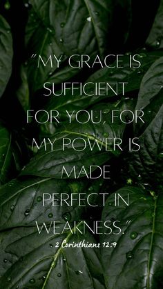 green leaves with the words, my grace is sufficient for you for my power is made perfect in weakness