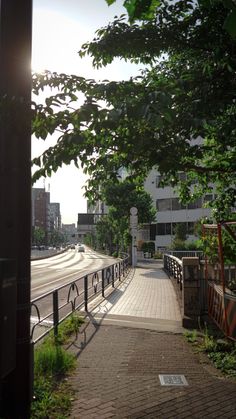 the sun is shining down on an empty street with trees and buildings in the background