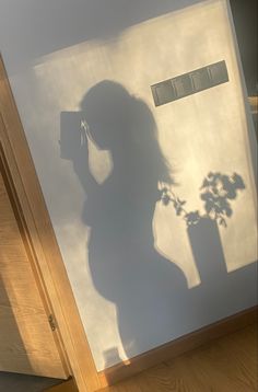 the shadow of a woman holding a cell phone in front of a door with a potted plant