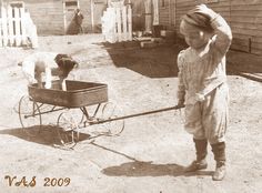 an old black and white photo of a boy pulling a wagon with a dog in it