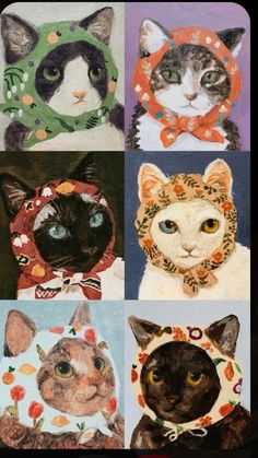 four different colored pictures of cats wearing hats and scarves with flowers on their heads