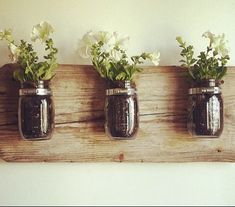 three mason jars with flowers in them hanging on a wall