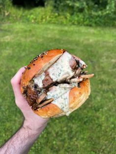 a hand holding a sandwich with meat and cheese on it in the middle of a grassy area