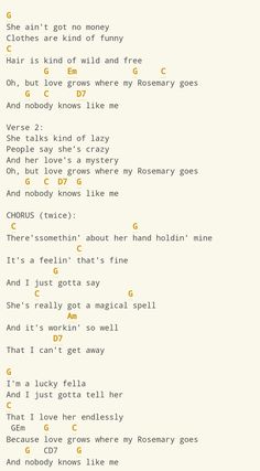 an image of a song that is written in the style of a computer screener