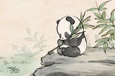 a panda bear sitting on top of a rock eating bamboo