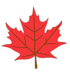 a red maple leaf on a white background