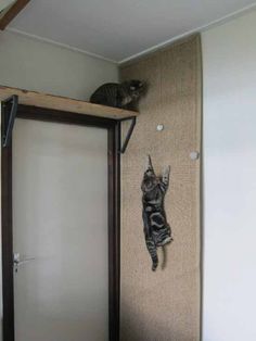 a cat sitting on top of a wooden shelf next to a door with an animal hanging from it's side