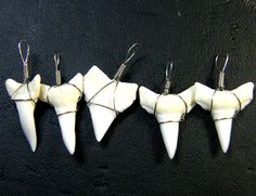 three white tooth shaped objects are hanging from hooks on a black surface with silver earwires