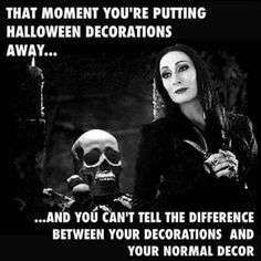 Morticia Addams, Adams Family, The Addams Family, Addams Family, Revenge, Horror Movies, A Black, I Laughed, Skeleton