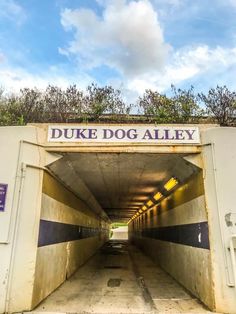 the entrance to duke dog alley on a sunny day with blue skies and white clouds