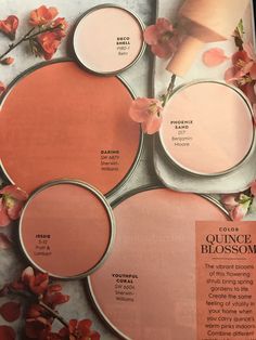 an article in the magazine shows different shades of pink and orange with flowers on them