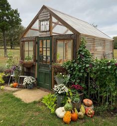 a garden shed with lots of vegetables and flowers in it's front yard area