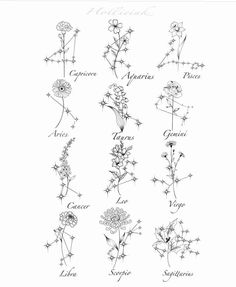 an image of flowers with zodiac signs on them